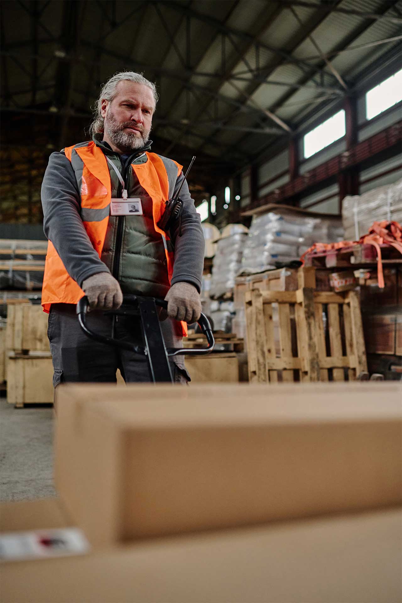Contact AAA Impex for Import Export Support